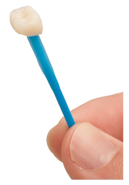 Picture of Bendable Sticks with Wax Tips for Precise Holding - 30 per pack